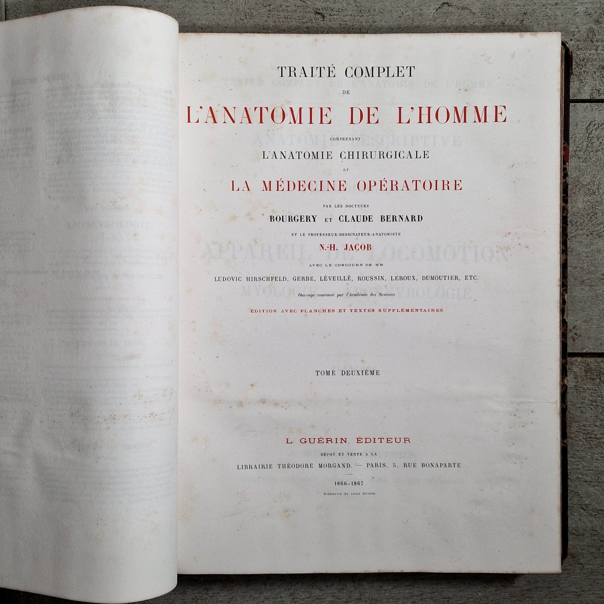 livre ancien morphologie artiste