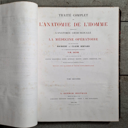 livre ancien morphologie artiste