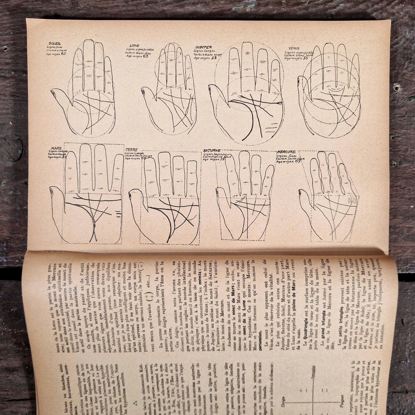 livre ancien chiromancie arts divinatoires