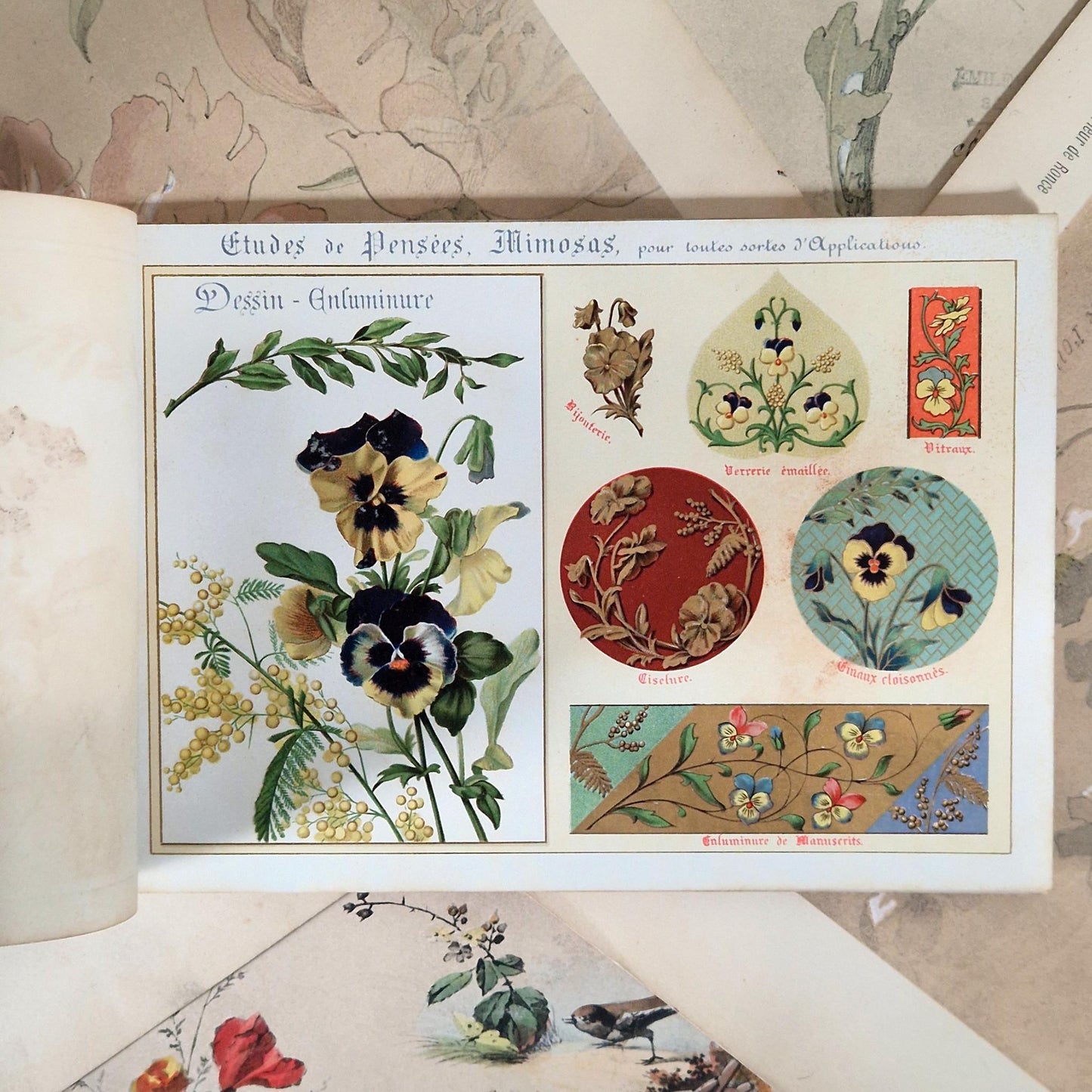 Flowers from Nature &amp; Ornamental Flowers - Ernest Guillot