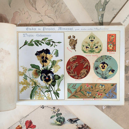 Flowers from Nature &amp; Ornamental Flowers - Ernest Guillot