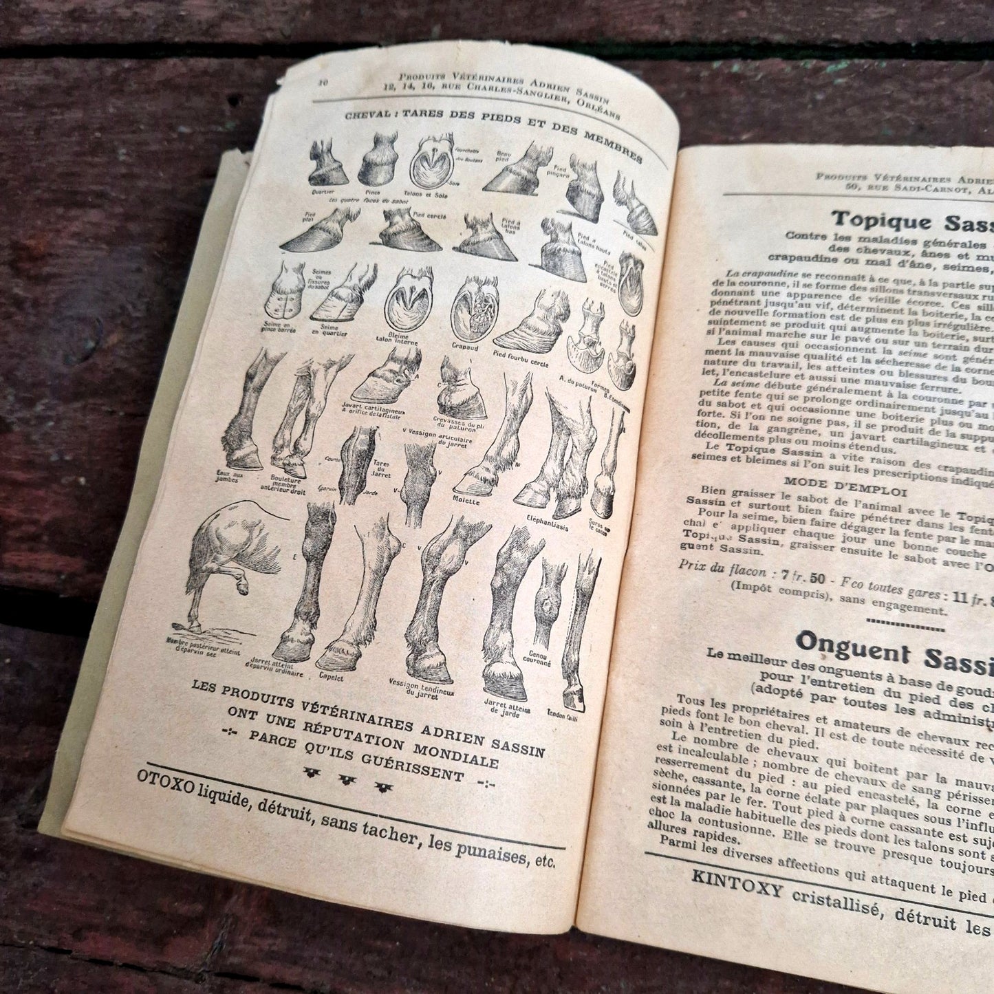 manuel sassin vétérinaire illustré