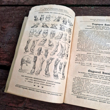 manuel sassin vétérinaire illustré