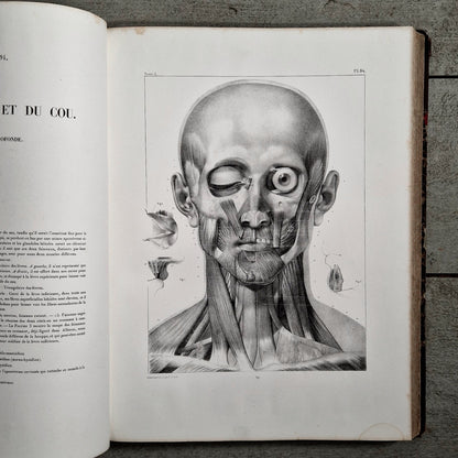 medical anatomy historical illustrations