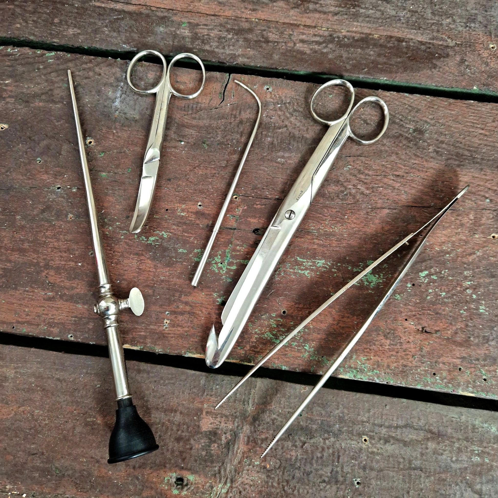 medical curiosity autopsy