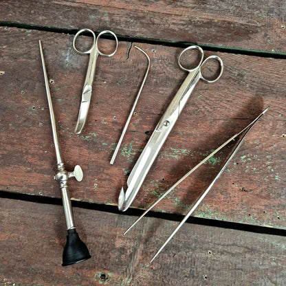 medical curiosity autopsy