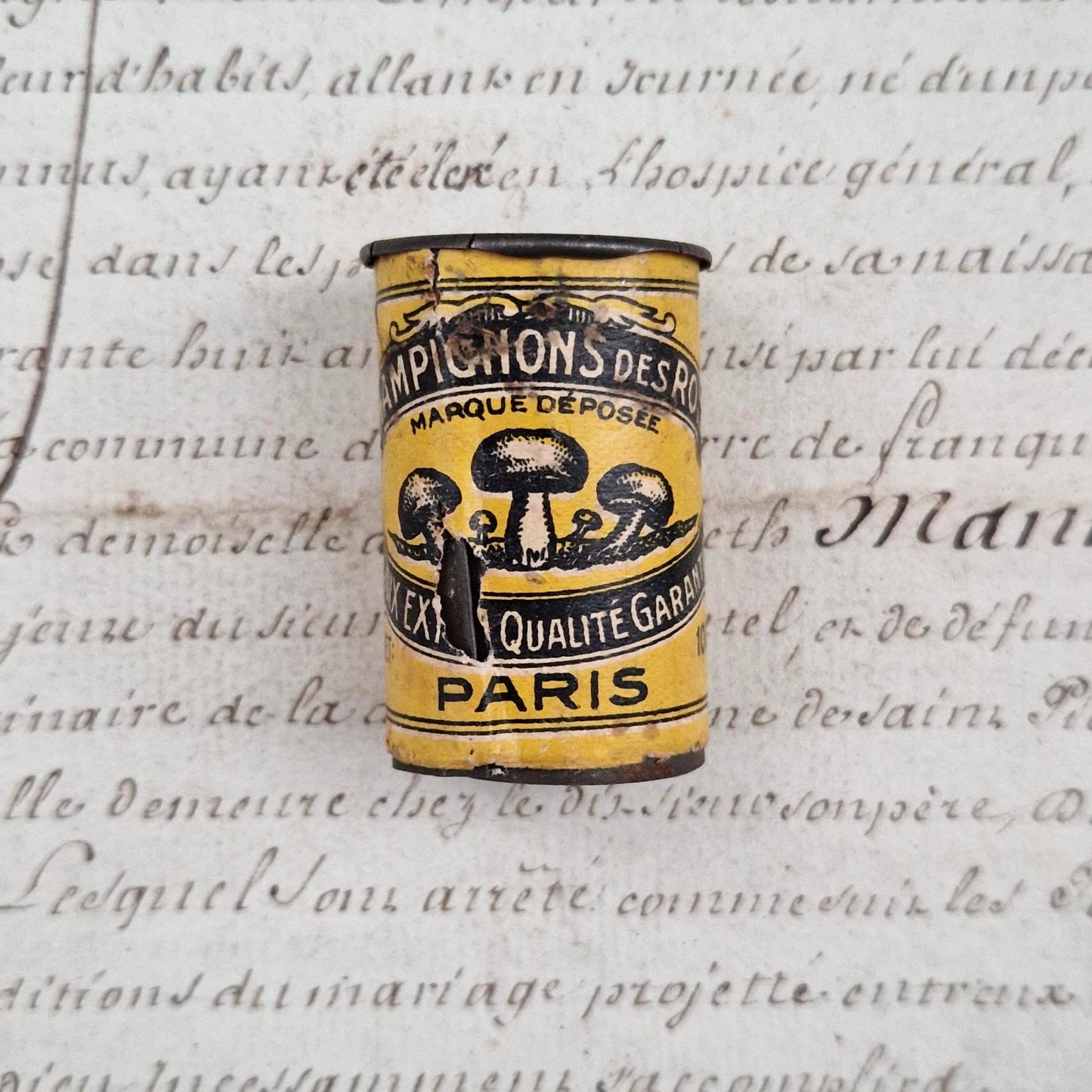 Mini advertising box "Woodland Mushrooms"