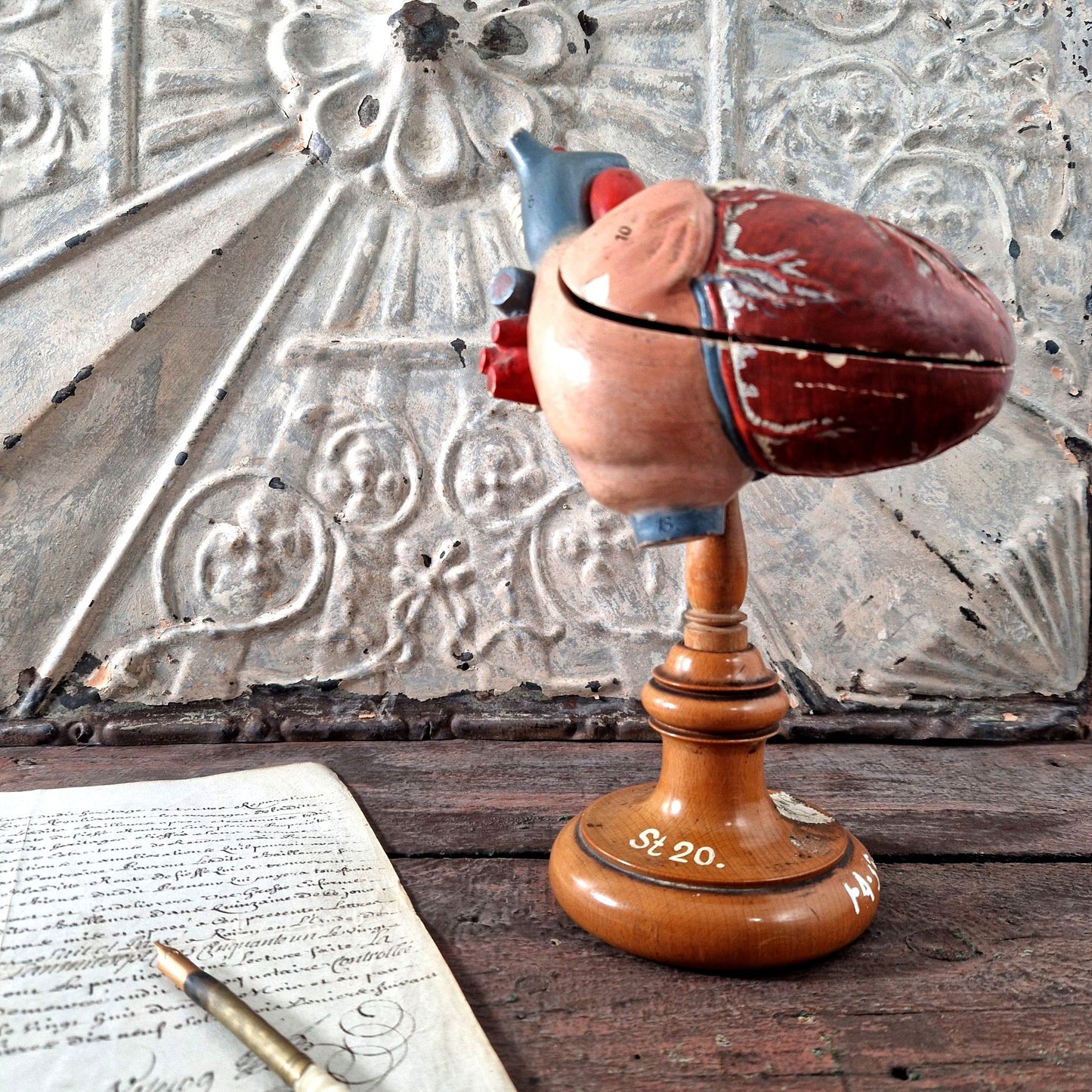 modele anatomique coeur ancien platre