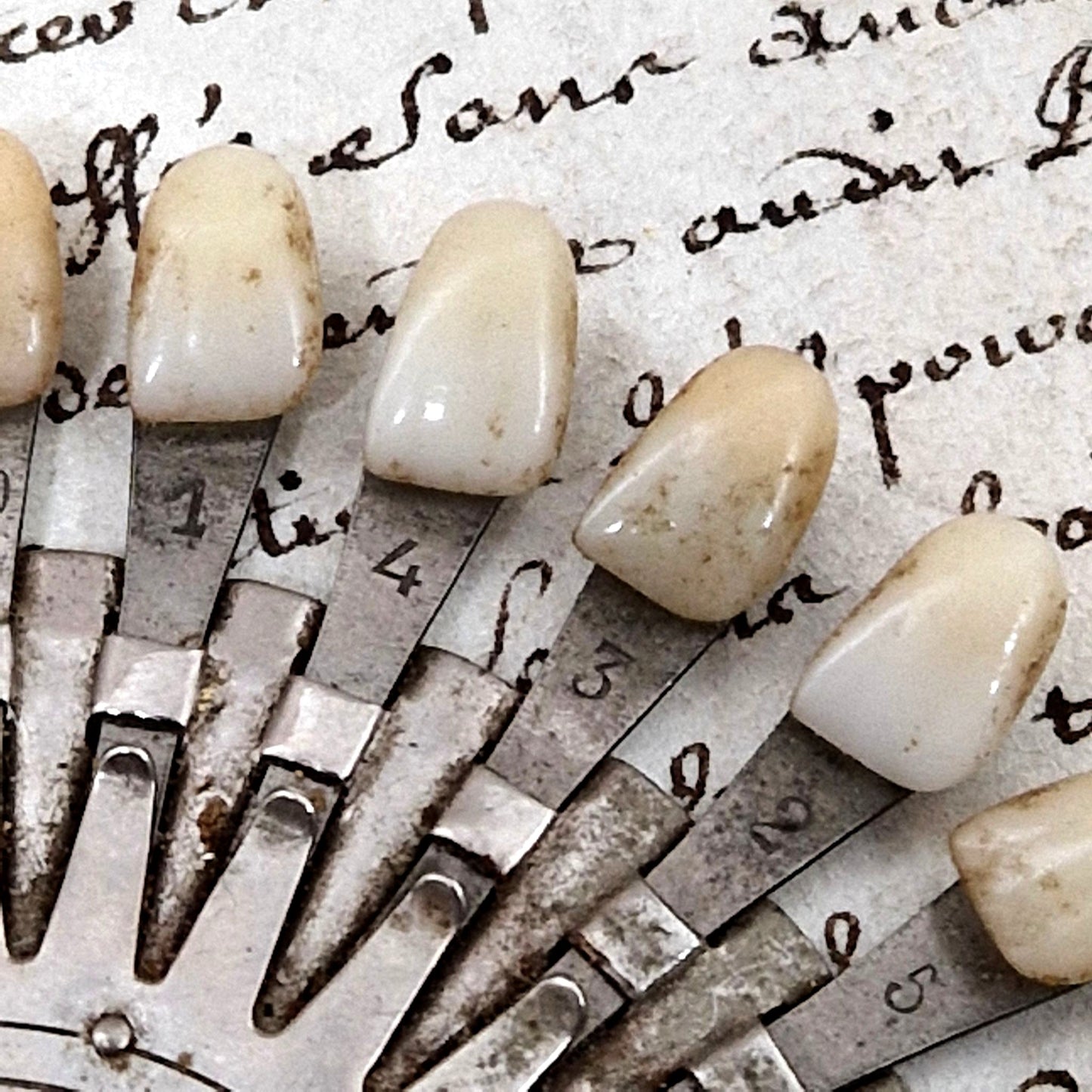 nuancier dents ceramiques ancien