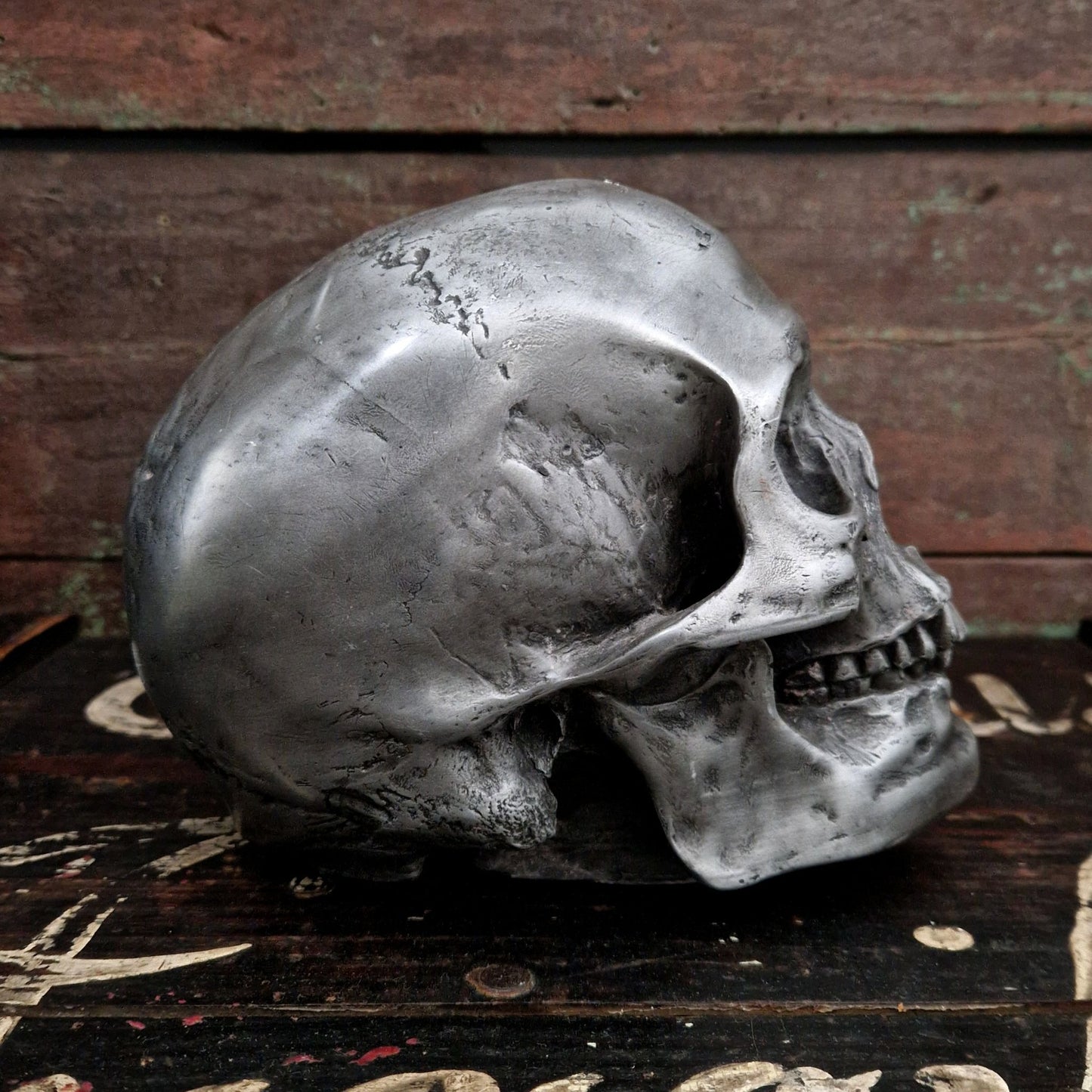 objet anatomique en étain, cabinet de curiosités