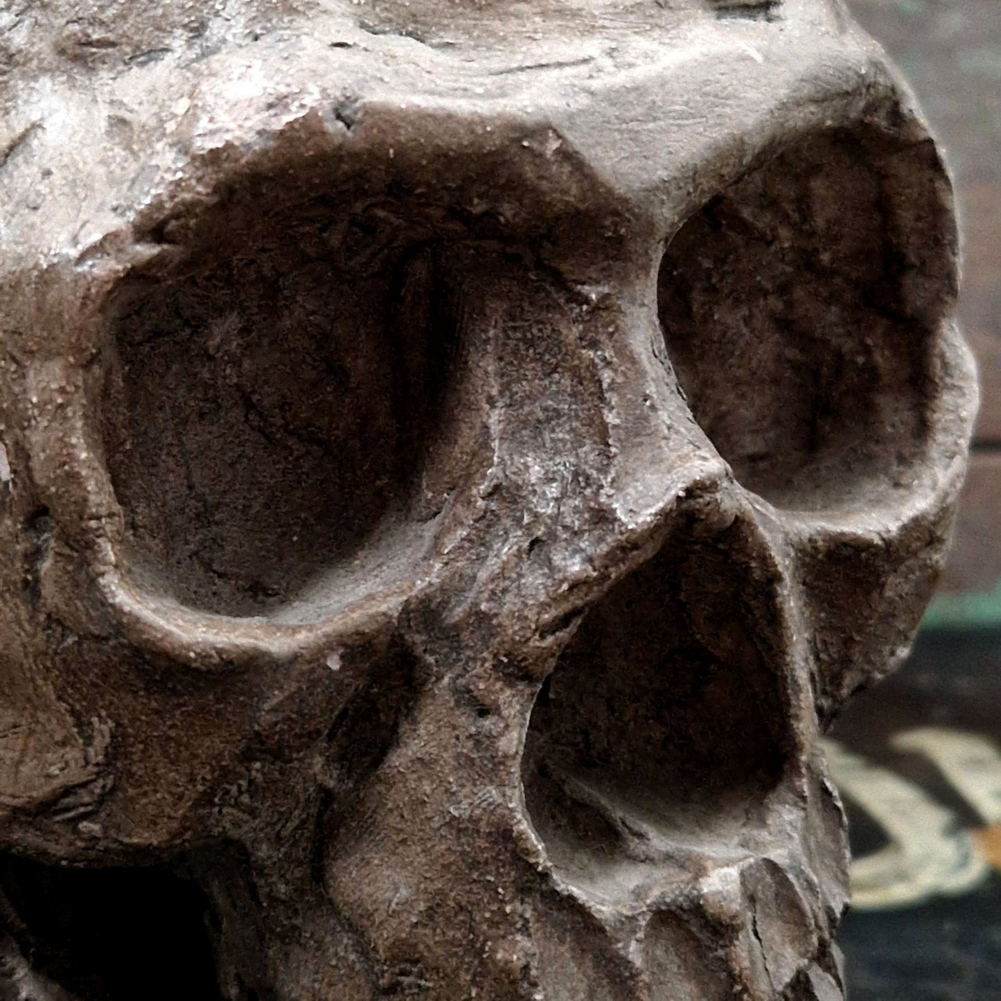 objet de curiosité, crane artisanal