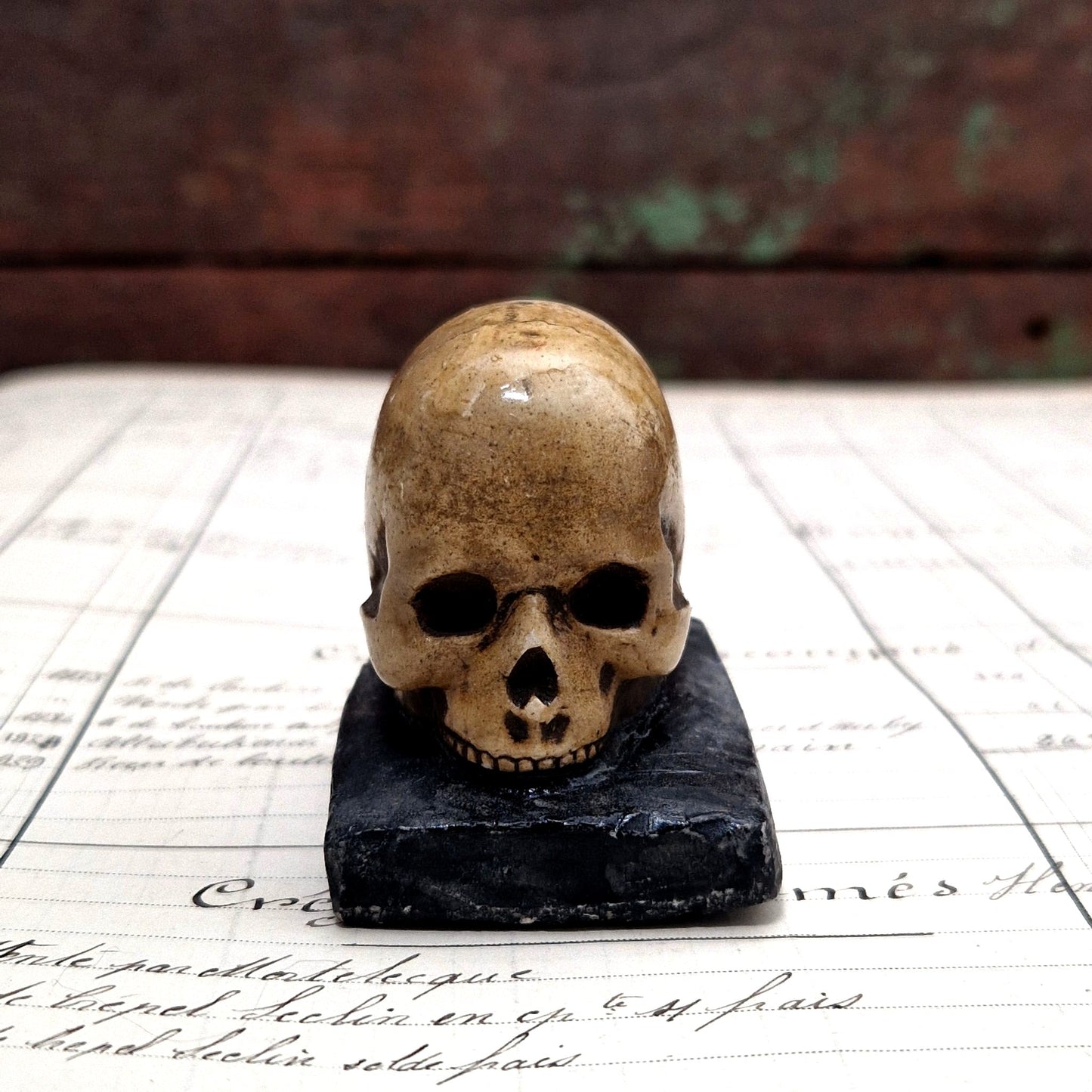 objet macabre crane patiné, memento moru