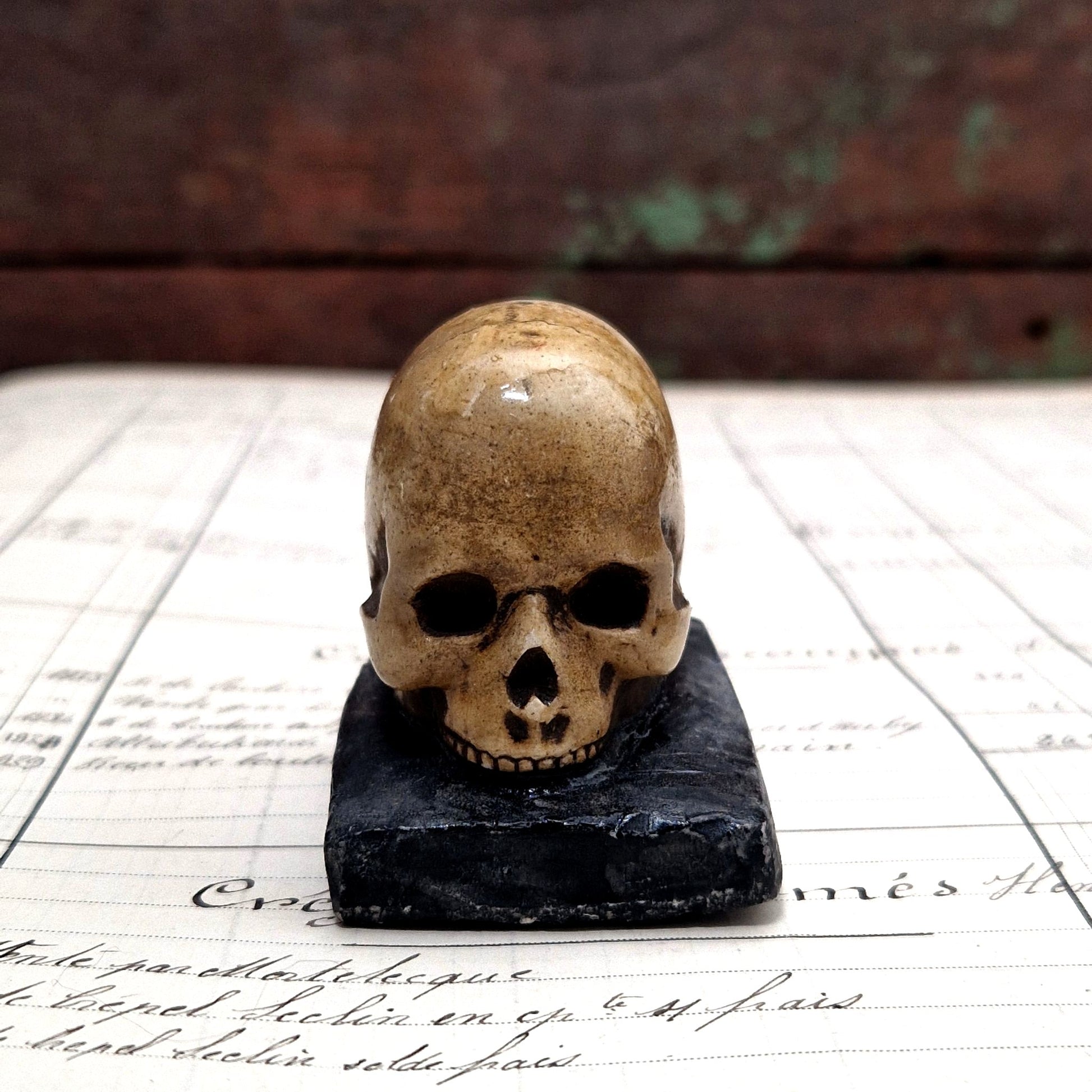 objet macabre crane patiné, memento moru