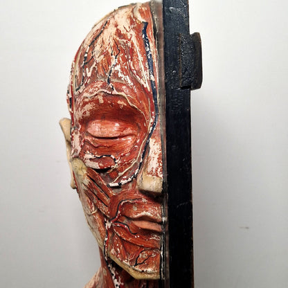 old medical head model paper mache