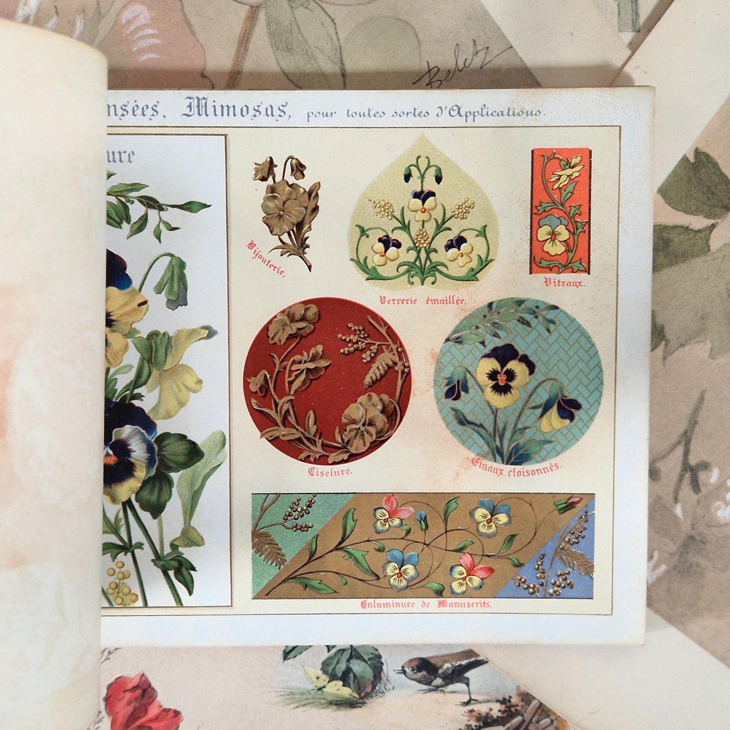 Flowers from Nature &amp; Ornamental Flowers - Ernest Guillot