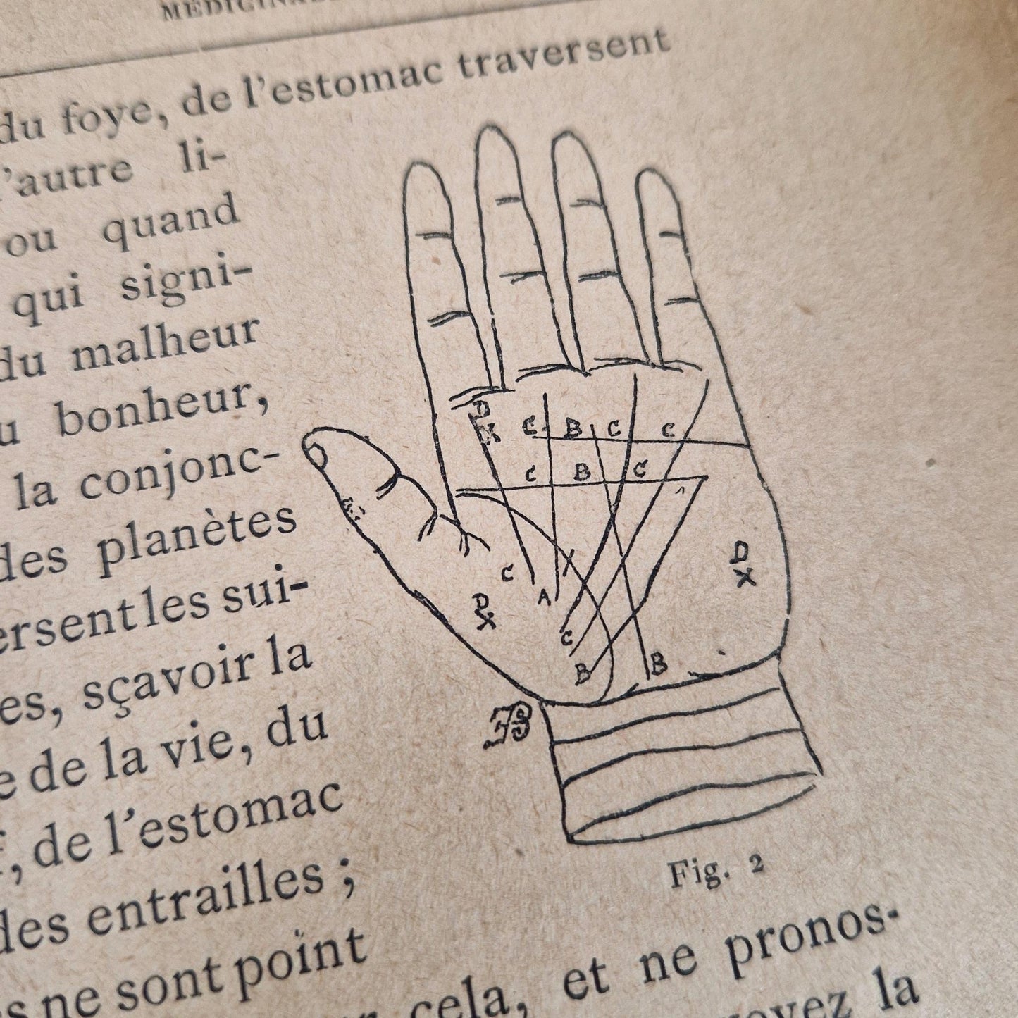 ouvrage esoterique chiromancie physionomie