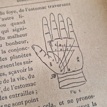 ouvrage esoterique chiromancie physionomie
