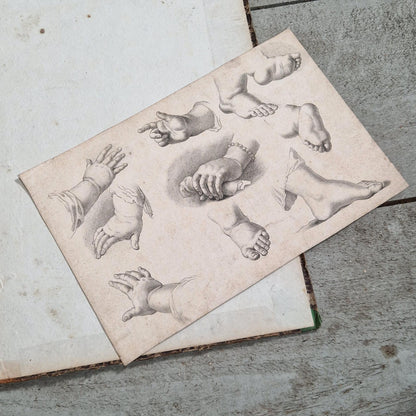 paris chez jean drawing treatise