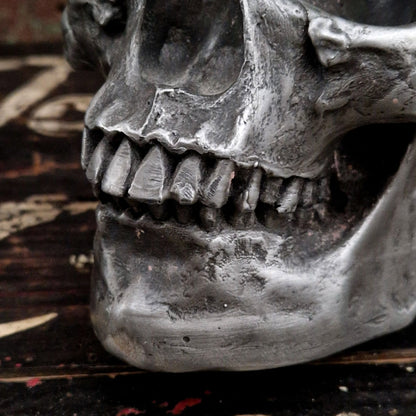 pewter skull decorative royan france