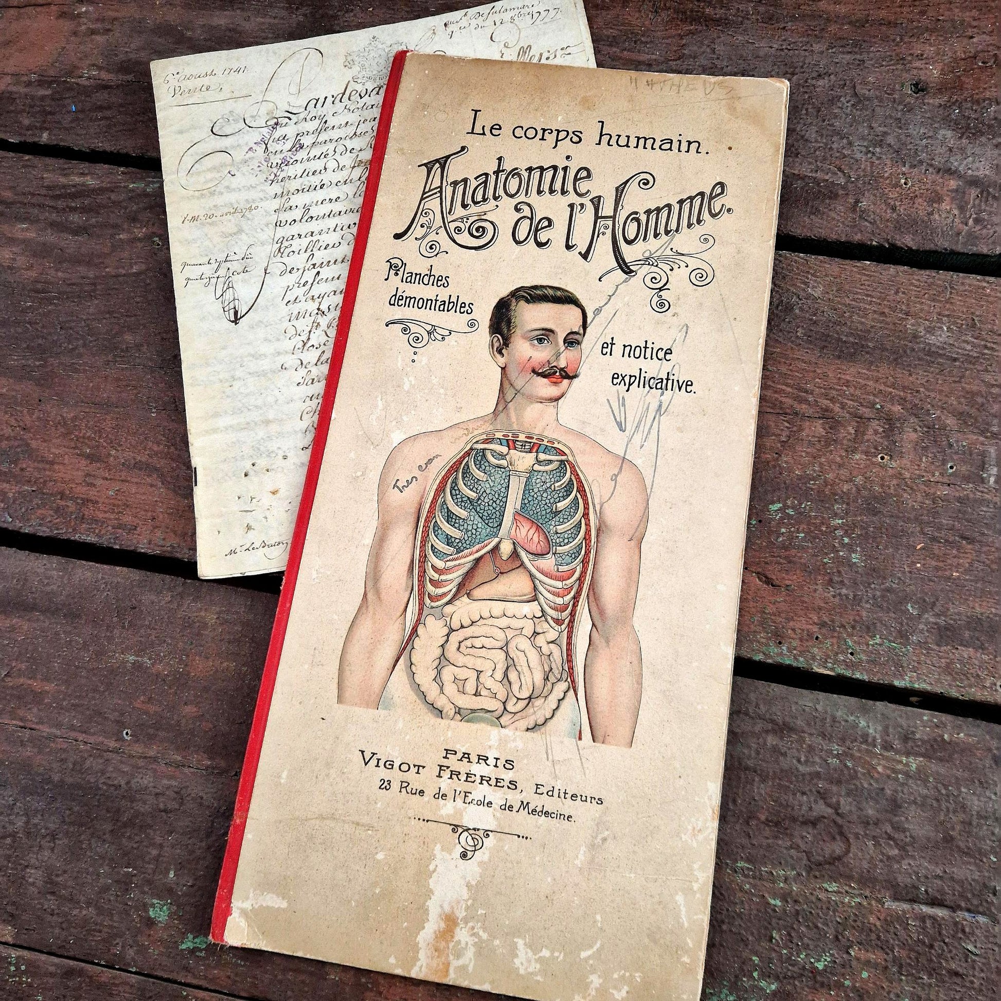 planches demontables anatomie ancienne