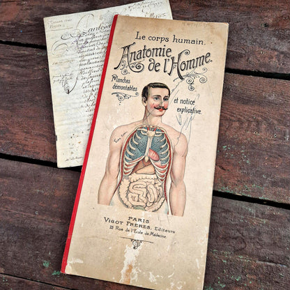 planches demontables anatomie ancienne