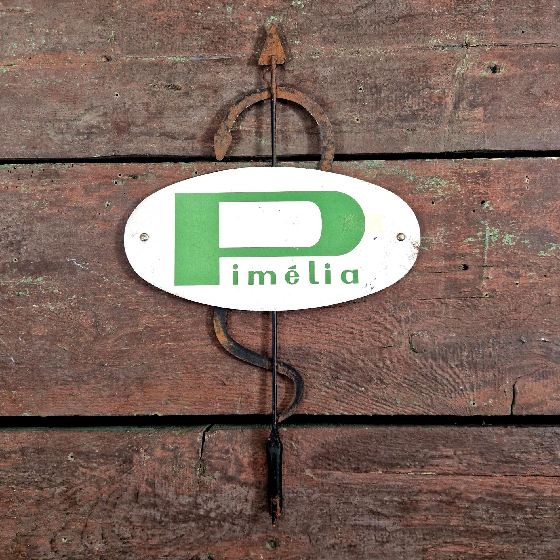 plaque tole lithographie pharmacie