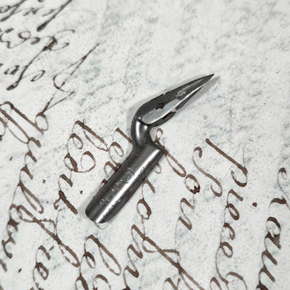 plume de collection zigzag art nouveau