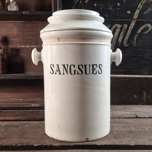 Rare Pot à Sangsues en porcelaine - J. Mourier, XIXe