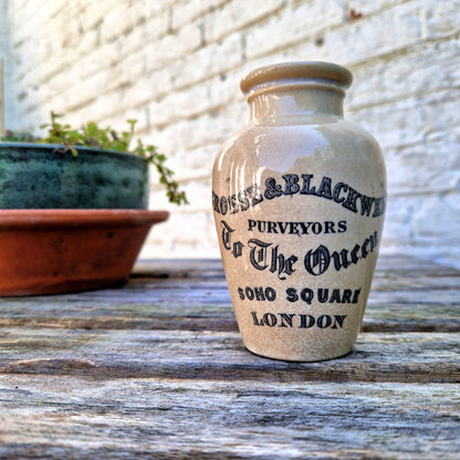 pot de moutarde crosse and blackwell