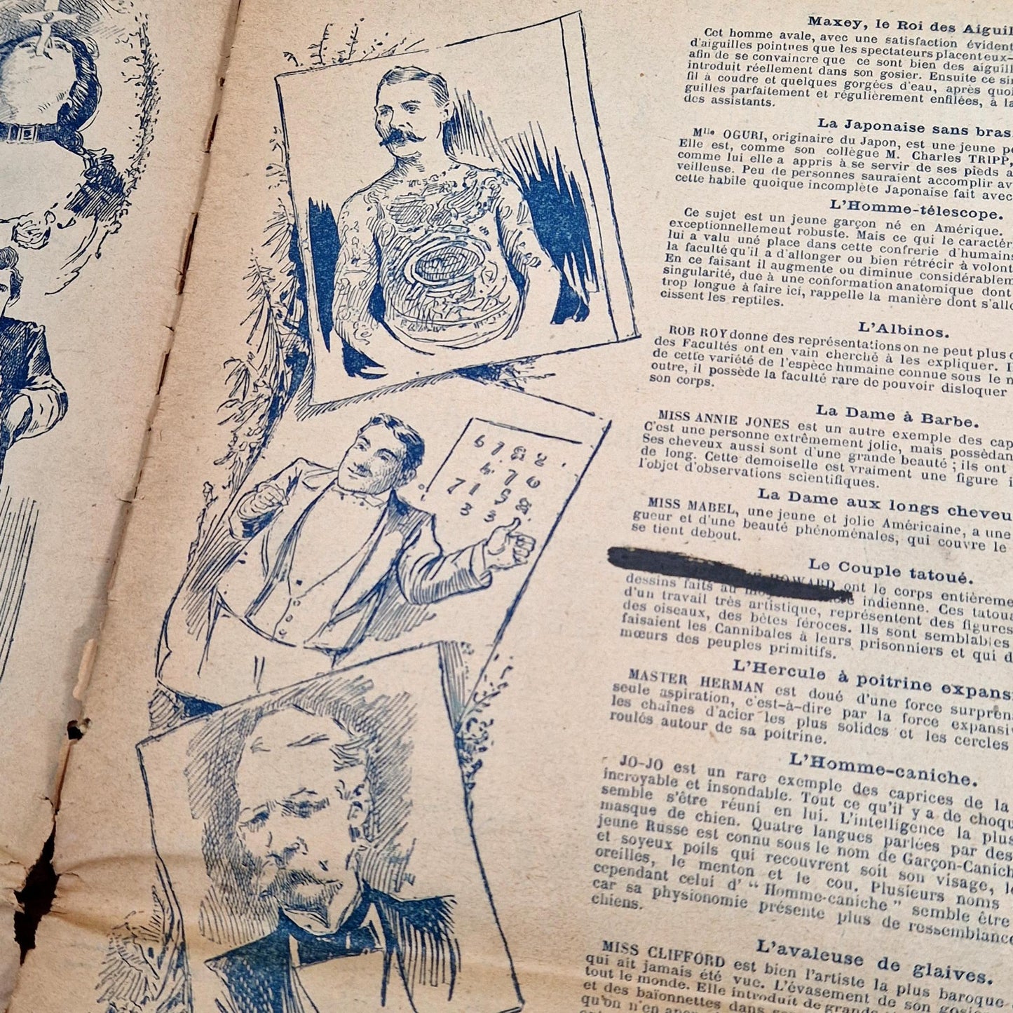 programme cirque americain ancienne edition