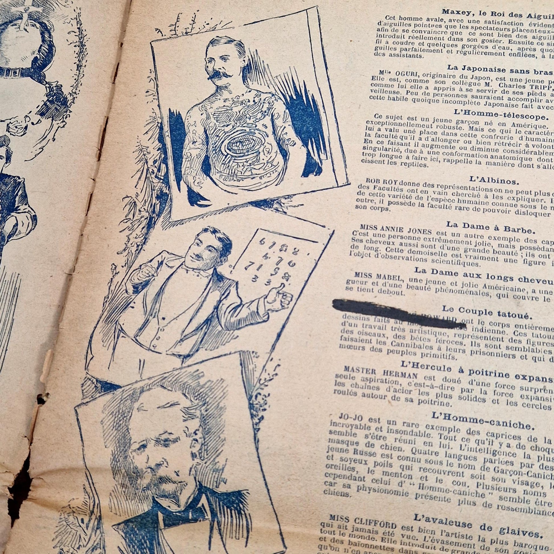 programme cirque americain ancienne edition