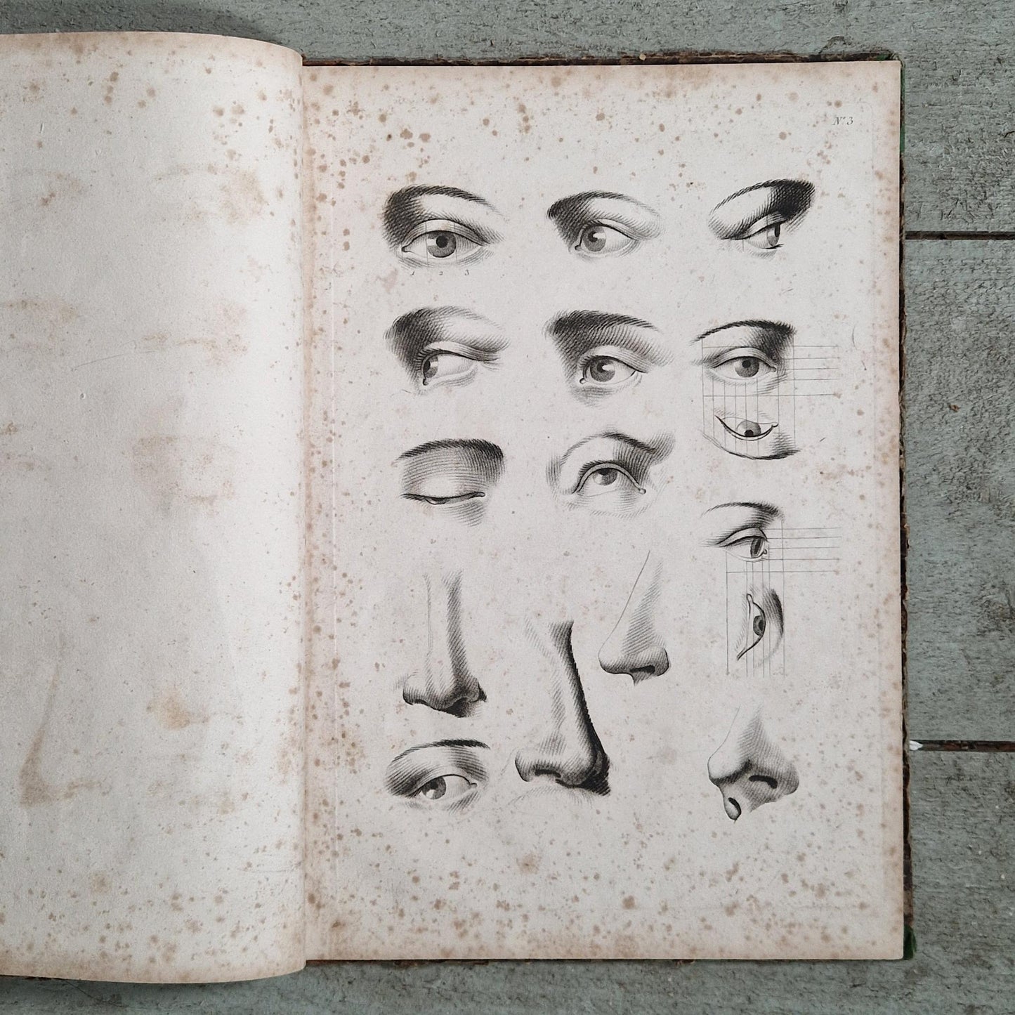 proportions figure humaine neoclassique