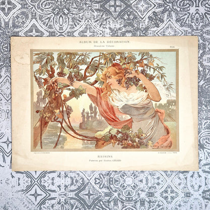 raisin gaston gerard art nouveau calavas