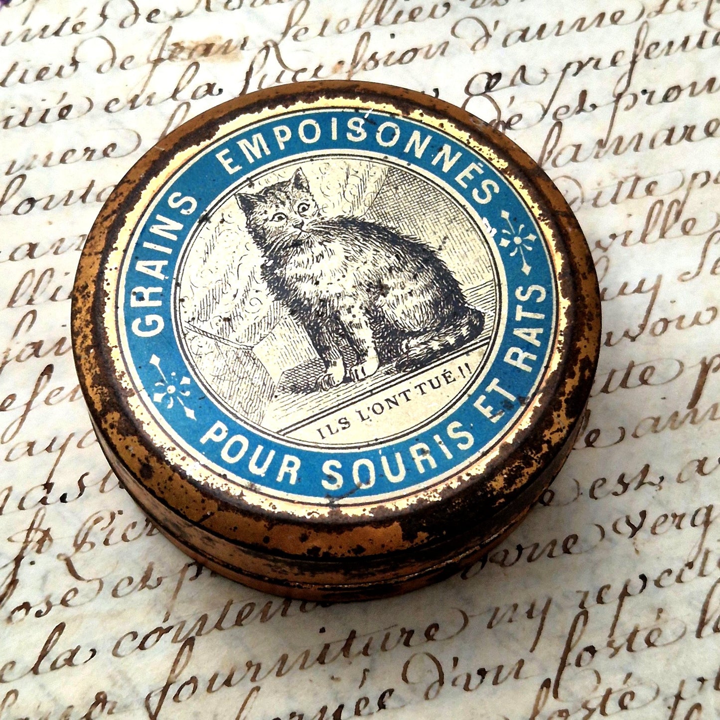 rare ancienne boite chat