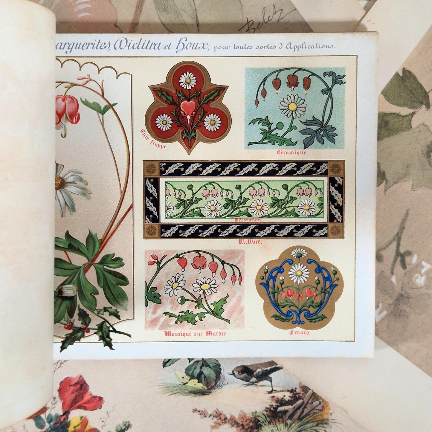 Flowers from Nature &amp; Ornamental Flowers - Ernest Guillot