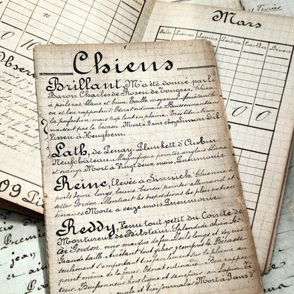 rare hunting notebooks with drawings