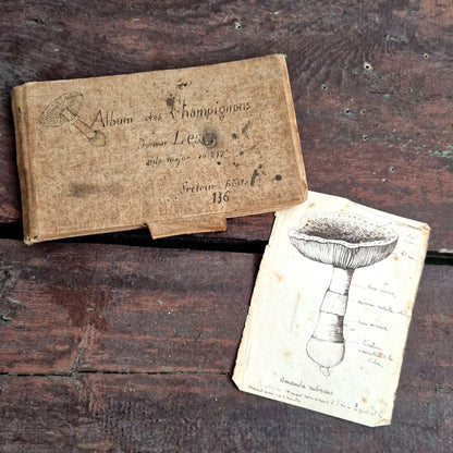 rare naturalist manuscript frontline