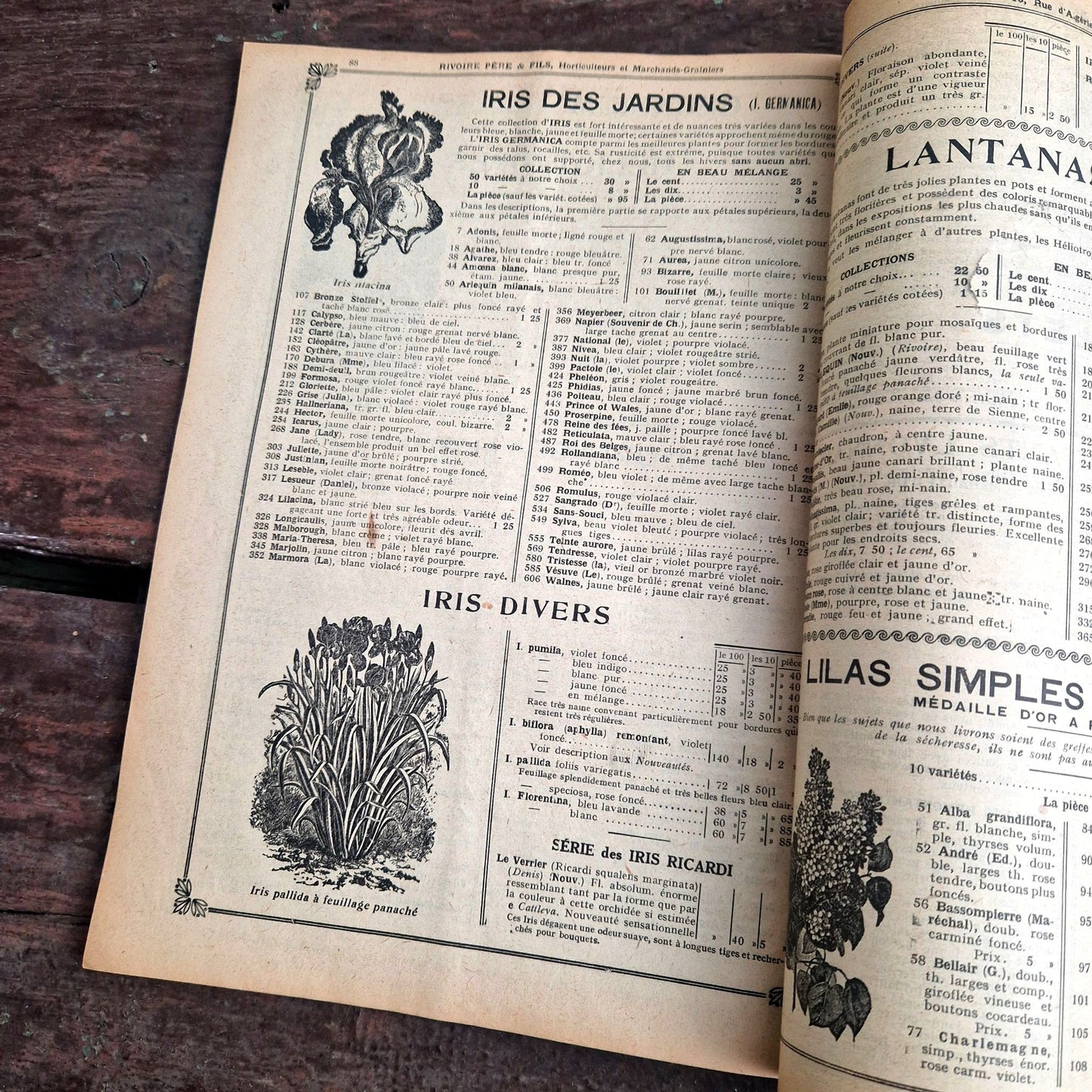 rivoire old seeds book france 1920s