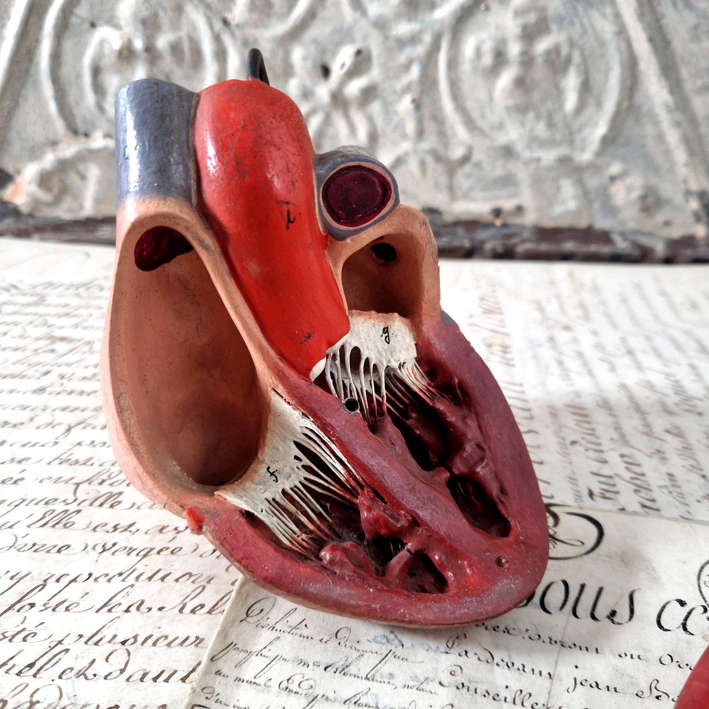 scientific heart model circa 1900