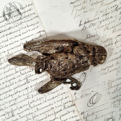 sculpture naturaliste oiseau xixe