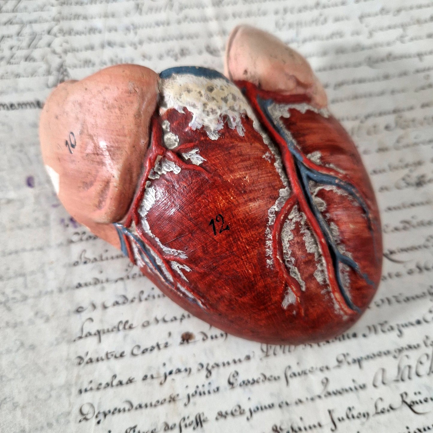 socle bois modele anatomique vintage