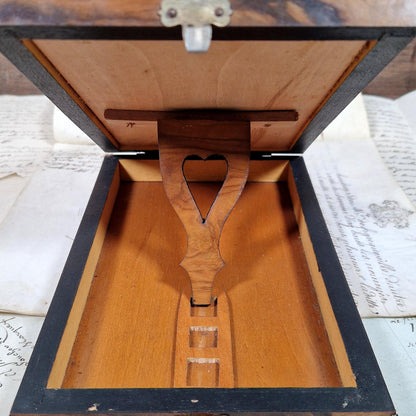 stereoscope and magnifier combined box