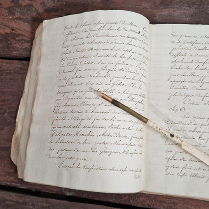 texte historique carnot napoleon