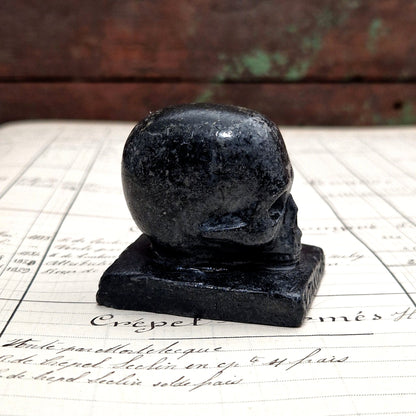 vanite crane tete de mort