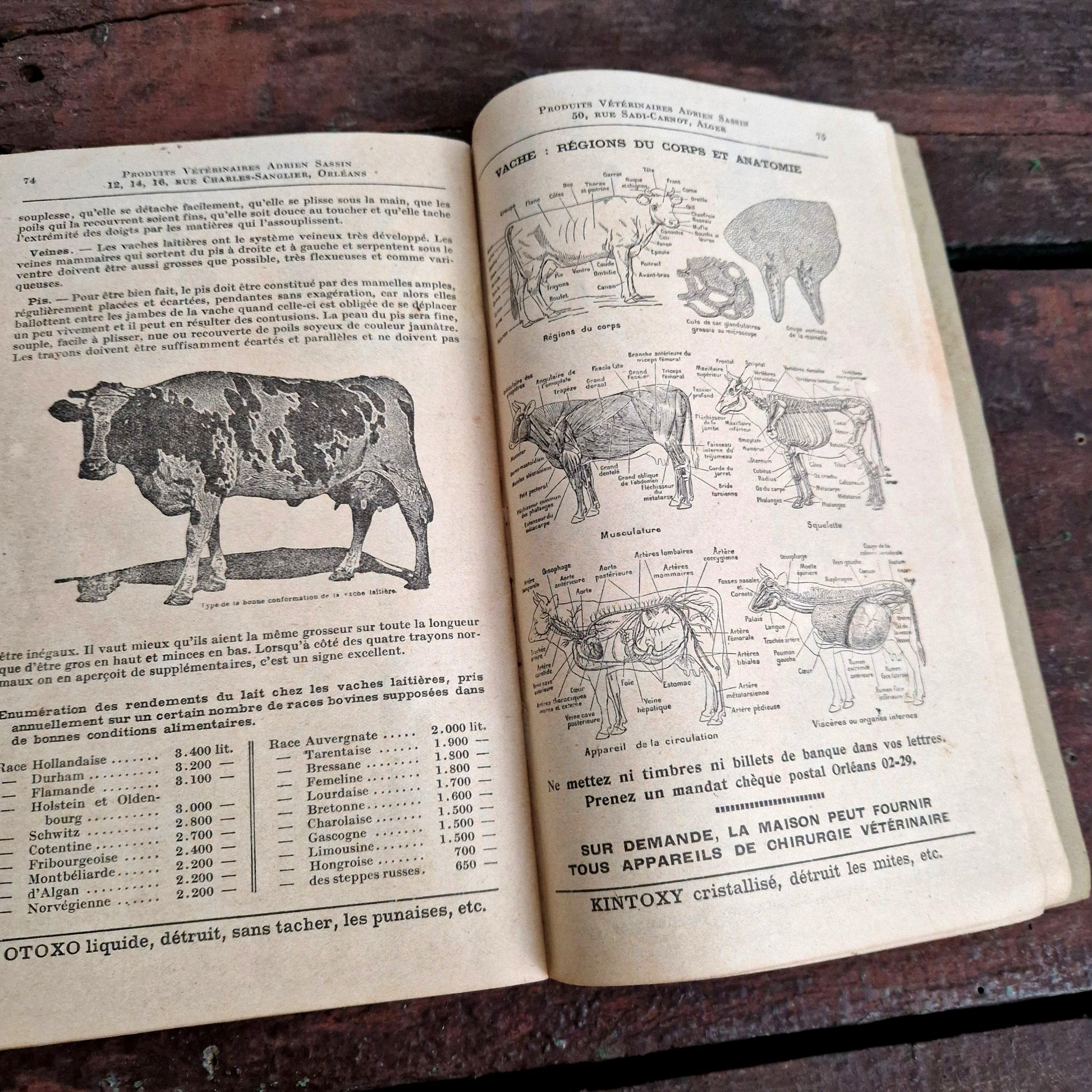 veterinary catalog adrien sassin 1932