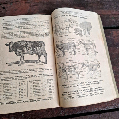 veterinary catalog adrien sassin 1932