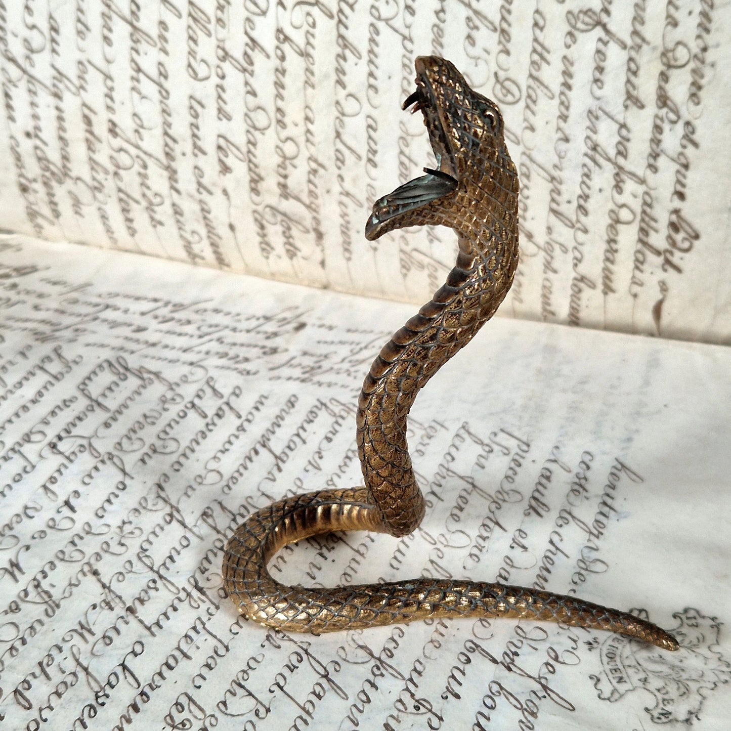 vintage bronze cobra