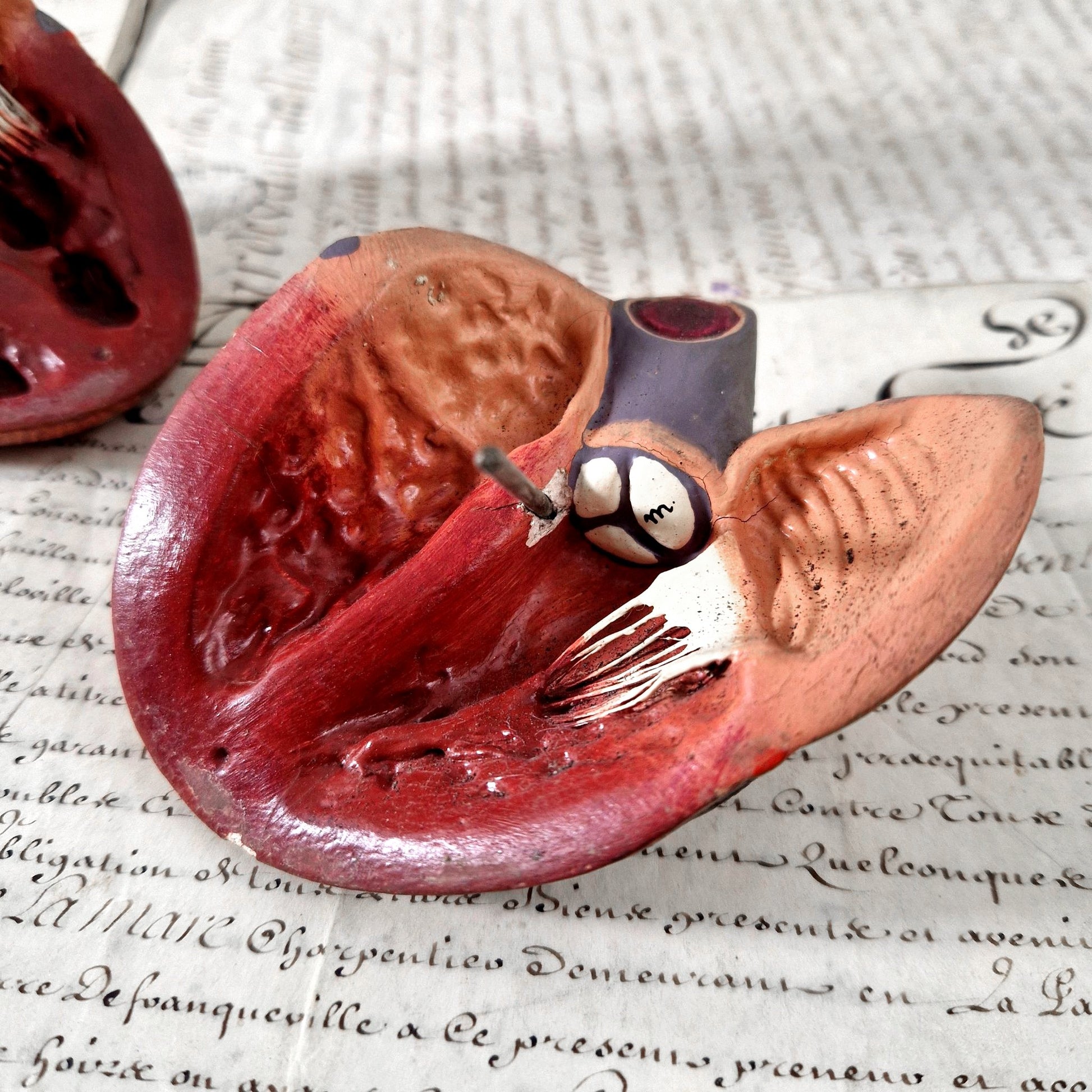 vintage medical heart education display