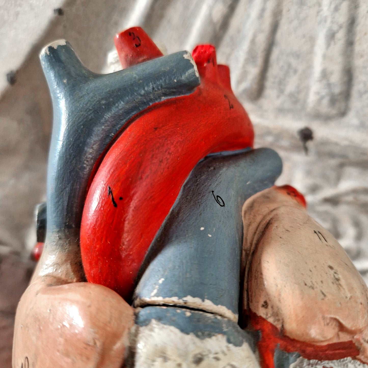 vintage medical heart education tool