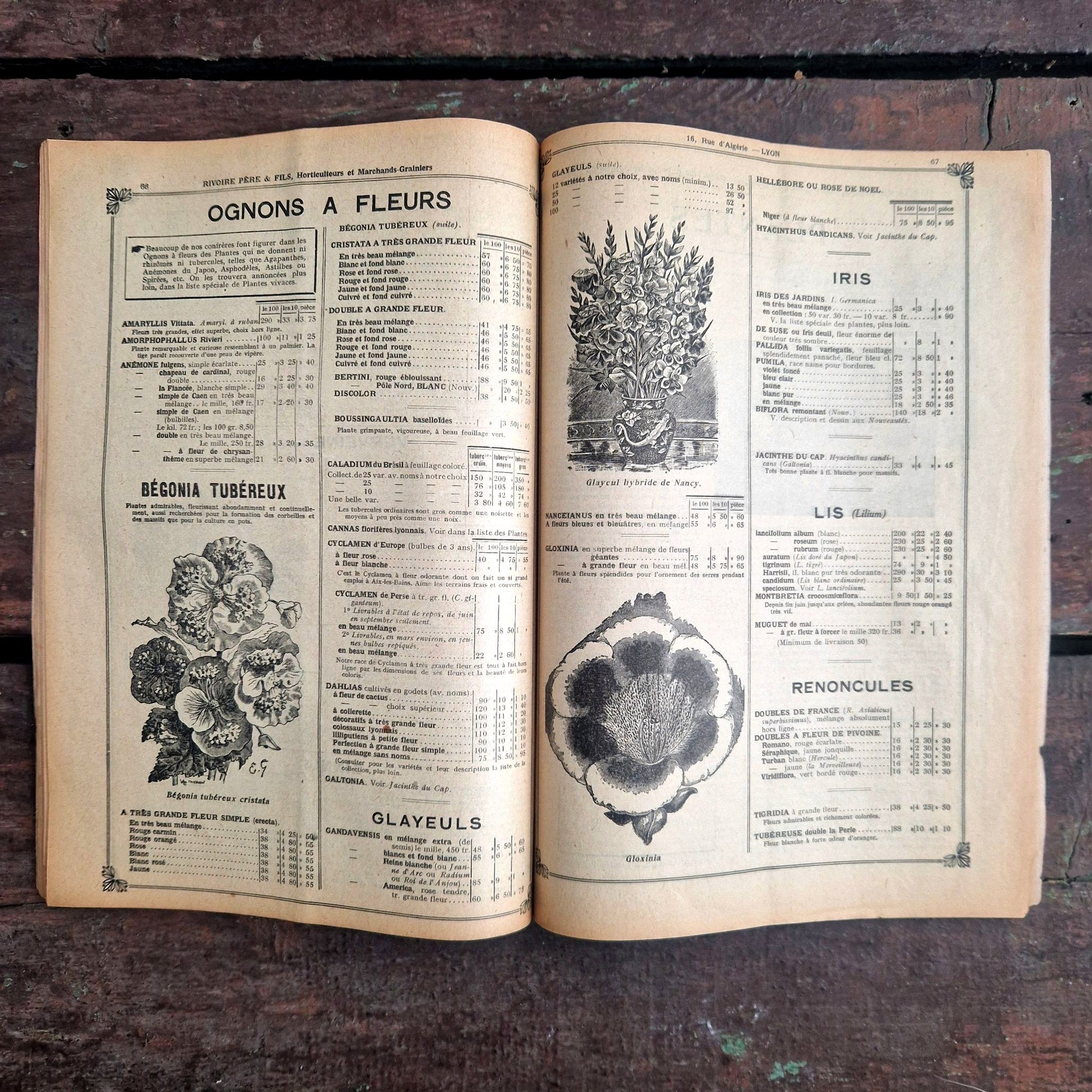 vintage seed catalogue rivoire 1922